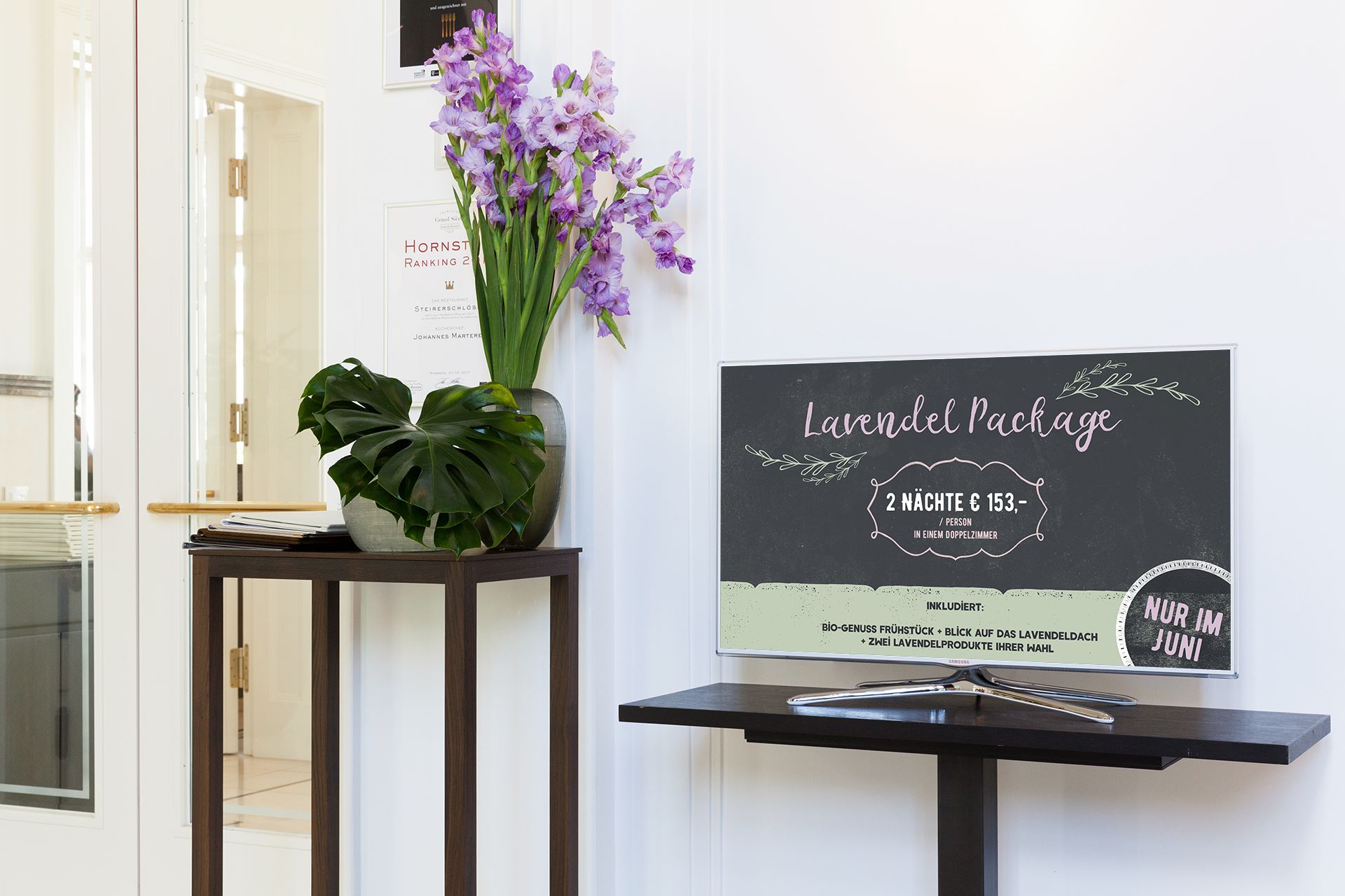 wesual-produkt-promotion